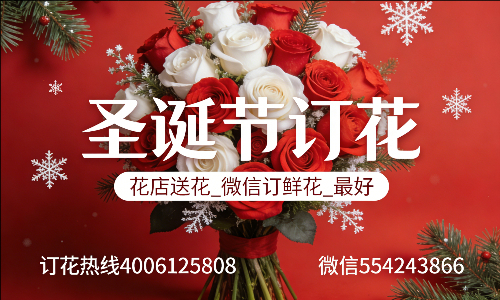 淮南寿县花店送花_微信订鲜花_圣诞节订花_最好? 淮南寿县花店